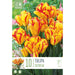  Tulip Triumph Tulip Dwarf Outbreak (x10 Bulbs)