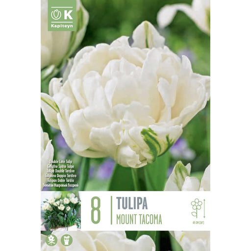  Tulip Double Mount Tacoma (x8 Bulbs)