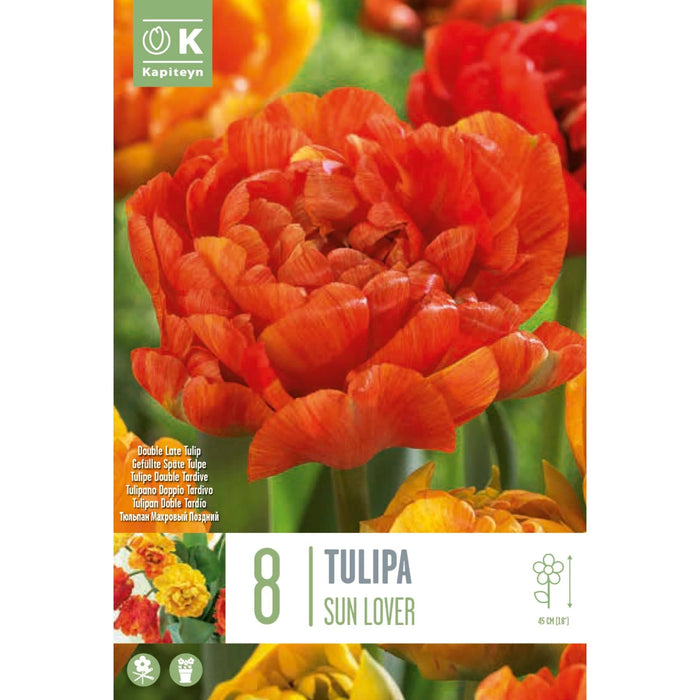  Tulip Double Sun Lover (x8 Bulbs)