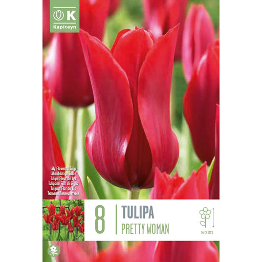  Tulip Lily-Flowered Pretty Woman (x8 Bulbs)