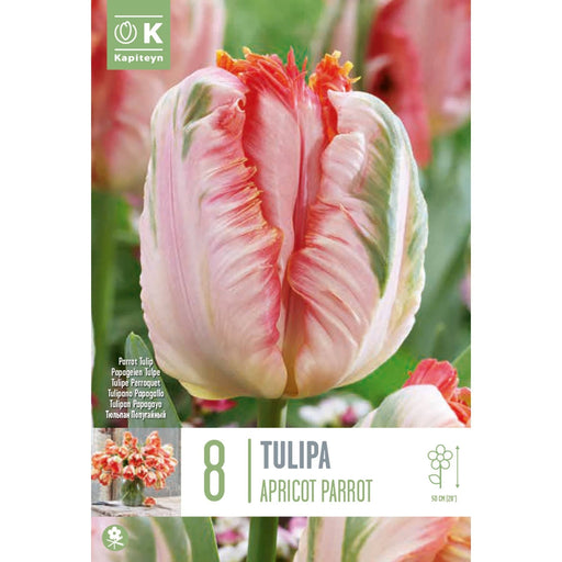  Tulip Parrot Apricot Parrot (x8 Bulbs)