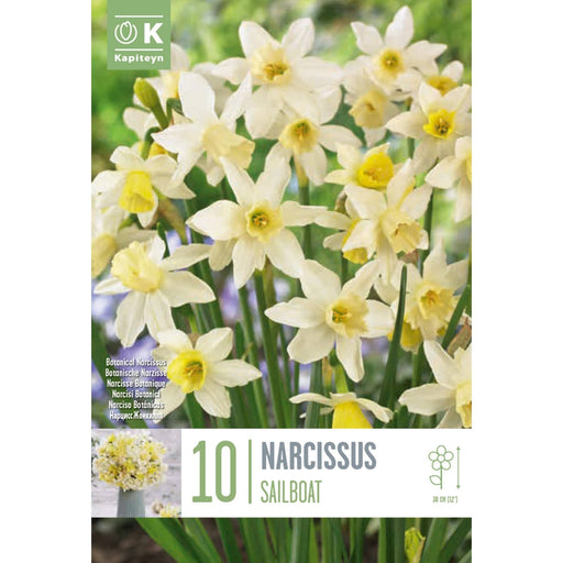  Narcissus Sailboat (x10 Bulbs)
