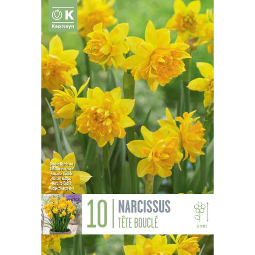  Narcissus Double Tete Boucle (x10 Bulbs)