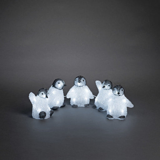 5 Piece Acrylic Penguin Light Set 12.5cm