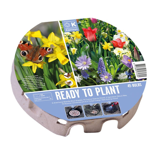 Ready to Plant Mixed Wild Flowers XL Tray (45 Bulbs)