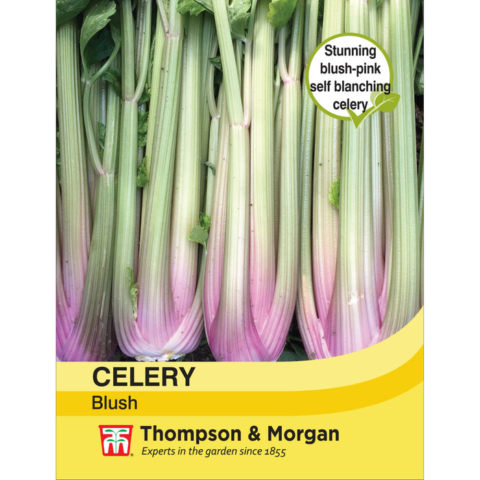 Celery Self-Blanching Blush