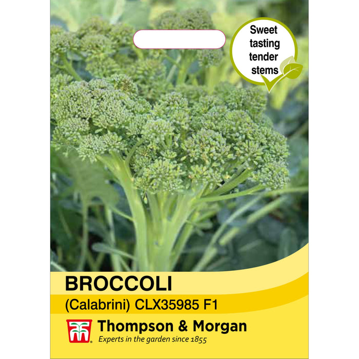 Broccoli calebrini Sweet Returns