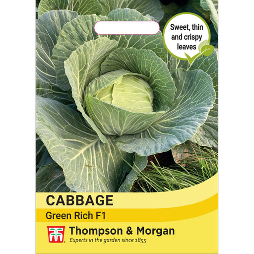 Cabbage Green Rich F1 