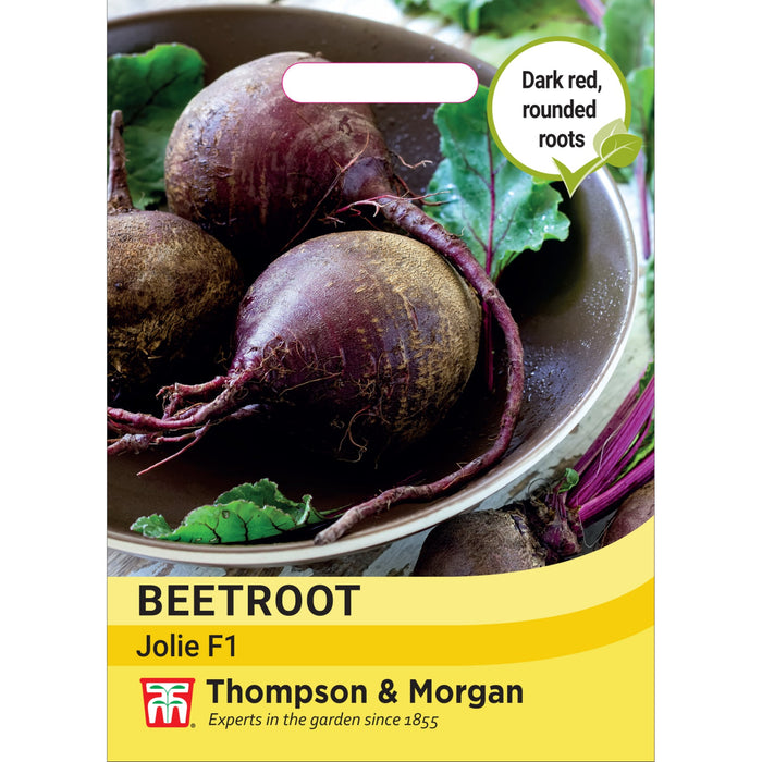 Beetroot Beta vulgaris Jolie F1 