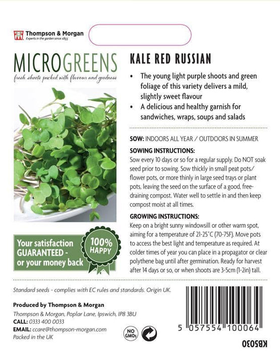 Thompson & Morgan (Uk) Ltd Gardening Thompson & Morgan Microgreens Kale Red Russian