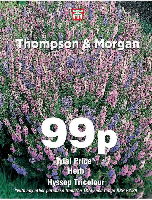 Thompson & Morgan (Uk) Ltd Gardening Herb Hyssop Tricolour