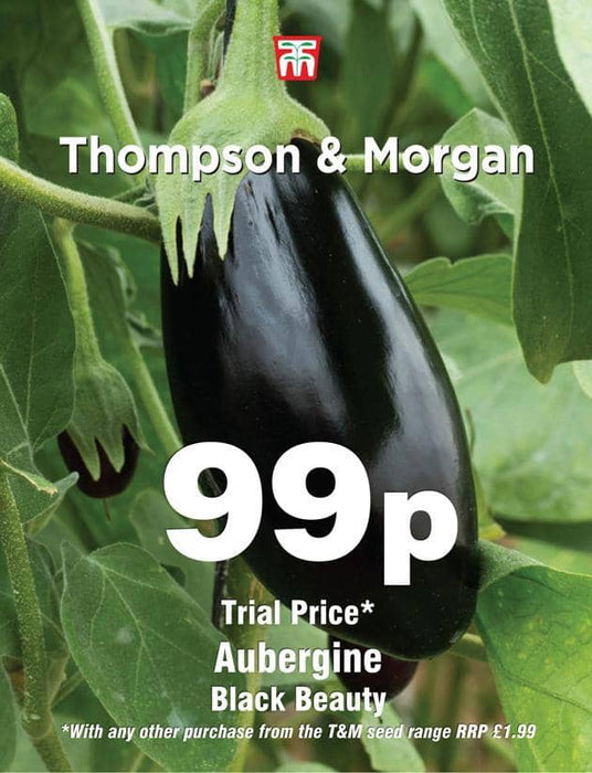 Thompson & Morgan (Uk) Ltd Gardening Aubergine Black Beauty