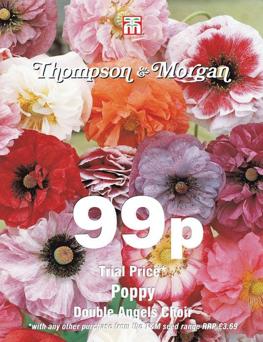 Thompson & Morgan (Uk) Ltd Gardening Poppy Double Angels Choir