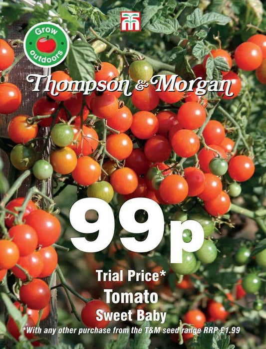 Thompson & Morgan (Uk) Ltd Gardening Tomato Sweet Baby