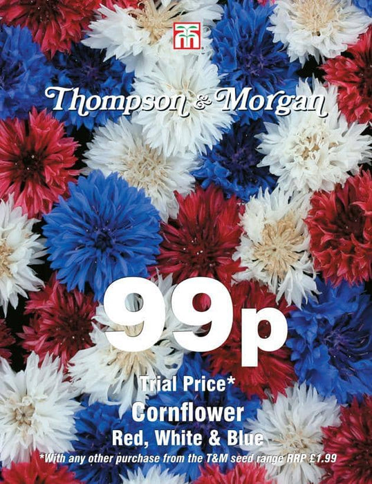 Thompson & Morgan (Uk) Ltd Gardening Cornflower Red, White & Blue