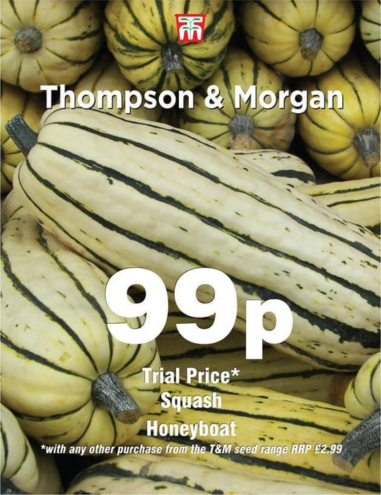 Thompson & Morgan (Uk) Ltd Gardening Squash Honeyboat