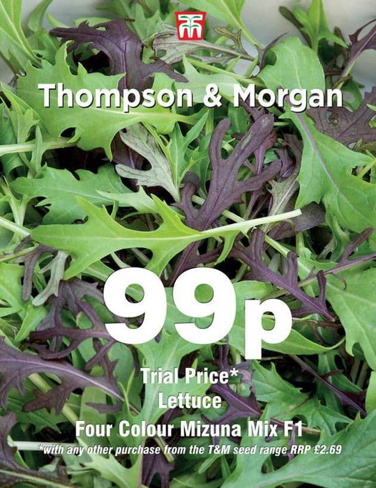 Thompson & Morgan (Uk) Ltd Gardening Lettuce Four Colour Mizuna Mixed