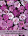 Thompson & Morgan (Uk) Ltd Gardening Dianthus P. Ipswich Pinks Mixed