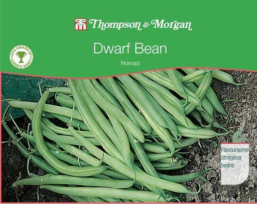 Thompson & Morgan (Uk) Ltd Gardening Dwarf Bean Nomad
