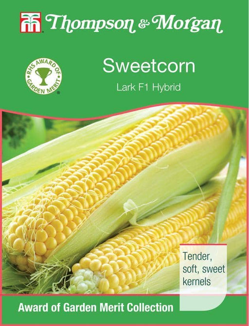 Thompson & Morgan (Uk) Ltd Gardening Sweetcorn Lark F1 Hyb.