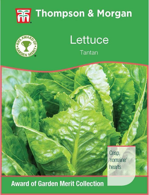 Thompson & Morgan (Uk) Ltd Gardening Lettuce Tantan