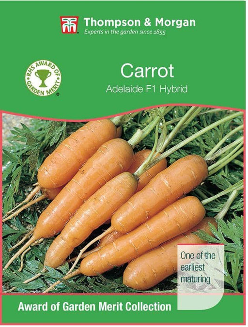 Thompson & Morgan (Uk) Ltd Gardening Carrot Adelaide F1 Hybrid