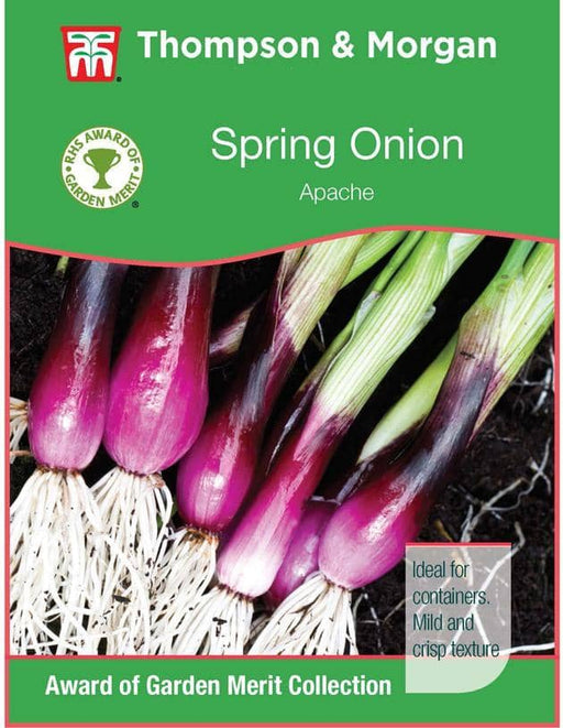 Thompson & Morgan (Uk) Ltd Gardening Onion Salad Apache