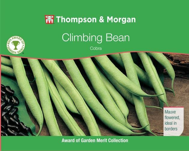 Thompson & Morgan (Uk) Ltd Gardening Climbing Bean Cobra