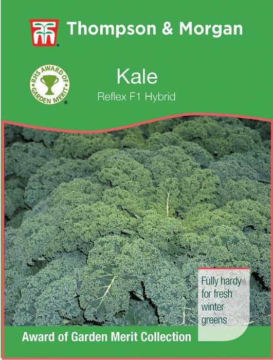 Thompson & Morgan (Uk) Ltd Gardening Kale Reflex