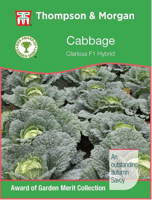 Thompson & Morgan (Uk) Ltd Gardening Cabbage Savoy Clarissa