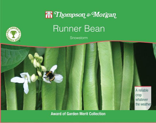 Thompson & Morgan (Uk) Ltd Gardening Runner Bean Snowstorm