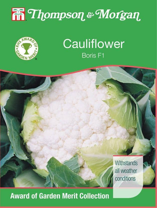 Thompson & Morgan (Uk) Ltd Gardening Cauliflower Boris F1 Hybrid