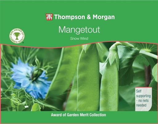 Thompson & Morgan (Uk) Ltd Gardening Mangetout Pea Snow Wind