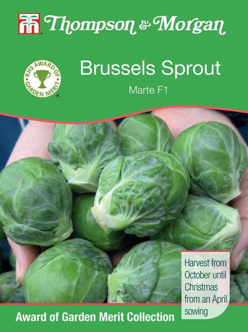 Thompson & Morgan (Uk) Ltd Gardening Brussels Sprout Marte F1 Hybrid