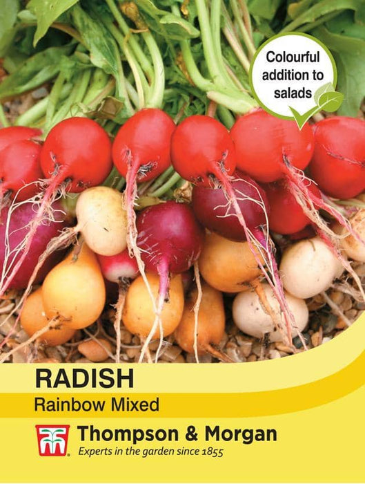 Thompson & Morgan (Uk) Ltd Gardening Radish Rainbow Mixed