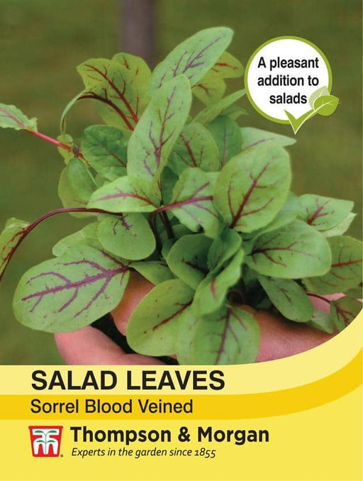 Thompson & Morgan (Uk) Ltd Gardening Salad Leaves - Sorrel Blood veined