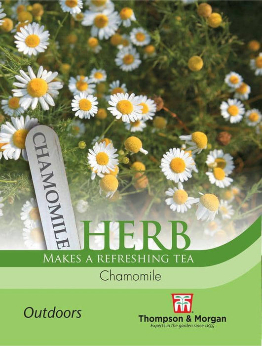 Thompson & Morgan (Uk) Ltd Gardening Herb Chamomile