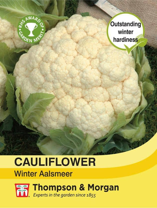 Thompson & Morgan (Uk) Ltd Gardening Cauliflower Winter Aalsmeer