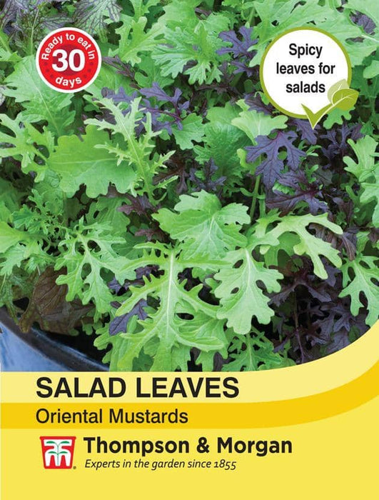 Thompson & Morgan (Uk) Ltd Gardening Salad Leaves - Oriental Mustards