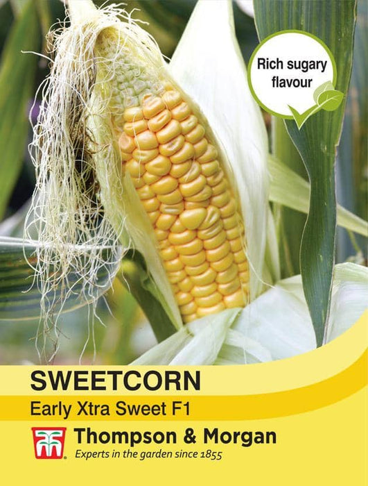 Thompson & Morgan (Uk) Ltd Gardening Sweetcorn Early Xtra Sweet F1 Hybrid