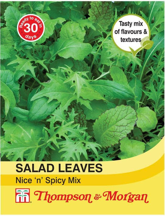 Thompson & Morgan (Uk) Ltd Gardening Salad Leaves - Nice n Spicy Mixed