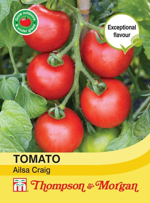 Thompson & Morgan (Uk) Ltd Gardening Tomato Ailsa Craig