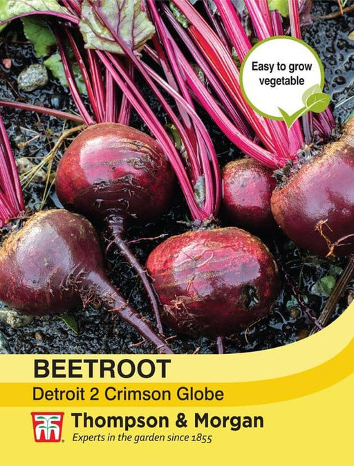 Thompson & Morgan (Uk) Ltd Gardening Beetroot Detroit 2 Crimson Globe
