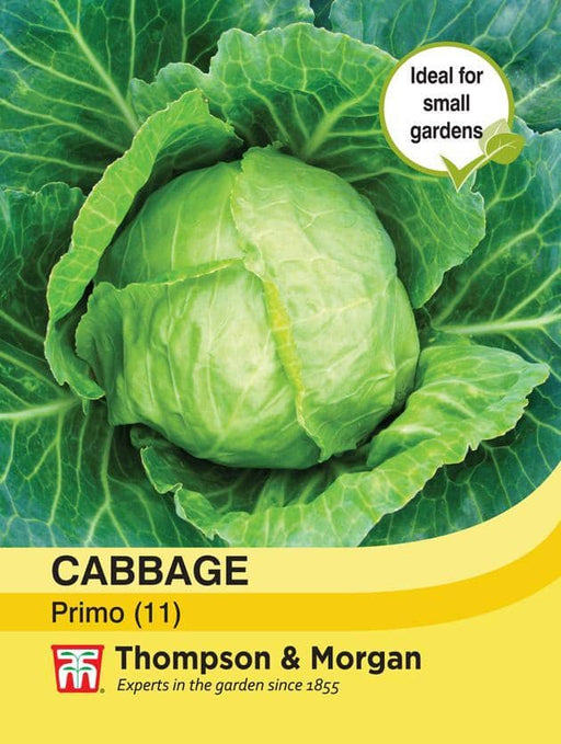Thompson & Morgan (Uk) Ltd Gardening Cabbage Primo