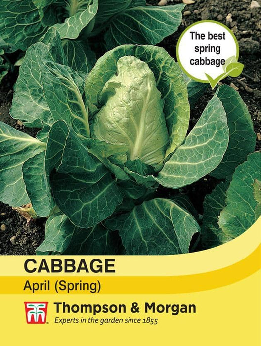 Thompson & Morgan (Uk) Ltd Gardening Cabbage (Spring) April