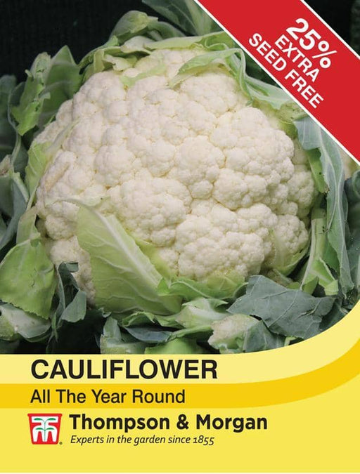 Thompson & Morgan (Uk) Ltd Gardening Cauliflower All The Year Round