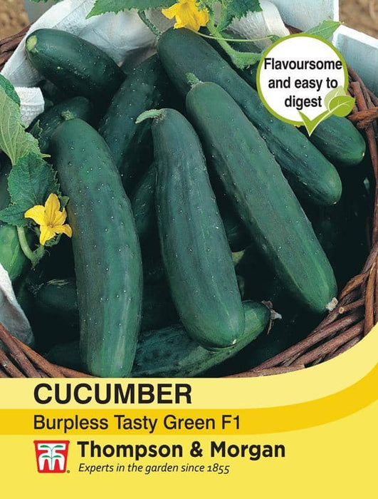 Thompson & Morgan (Uk) Ltd Gardening Cucumber Burpless Tasty Green