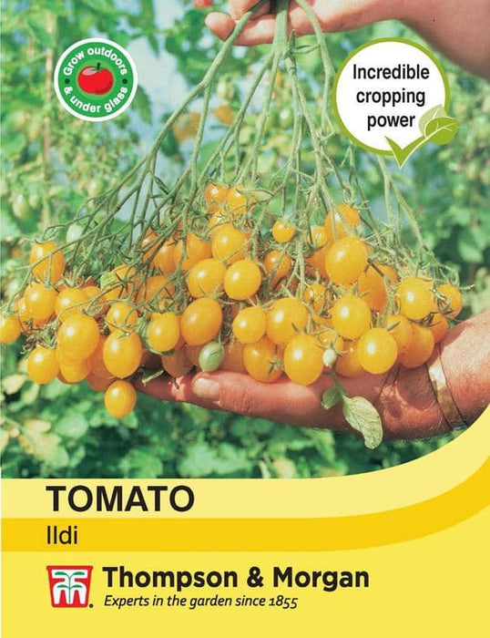 Thompson & Morgan (Uk) Ltd Gardening Tomato Ildi