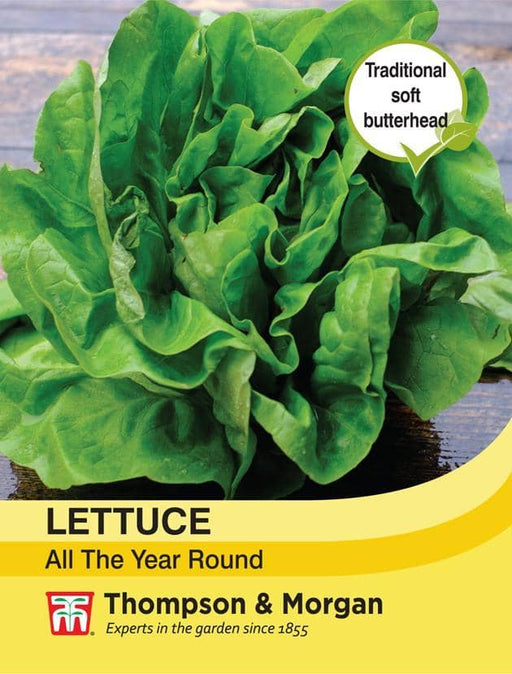 Thompson & Morgan (Uk) Ltd Gardening Lettuce All Year Round