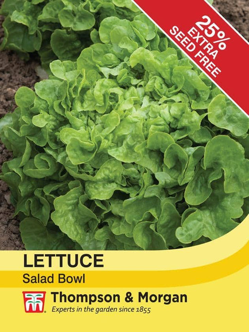 Thompson & Morgan (Uk) Ltd Gardening Lettuce Salad Bowl